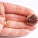 Small Hedgehog Tiny Painted Stone in Black and Brown Ink