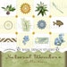 Digital Scrapbooking Embellishments with Lily of the Valley, Fish, Forget me nots in blue, green, distressed tan