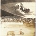 2 Bullfight Montery Mexico Real Photo Postcards