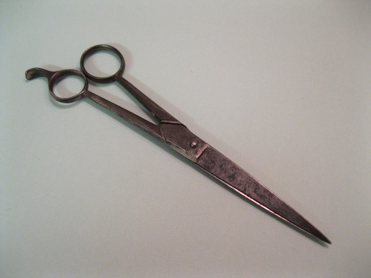 Vintage Griffon German Scissors
