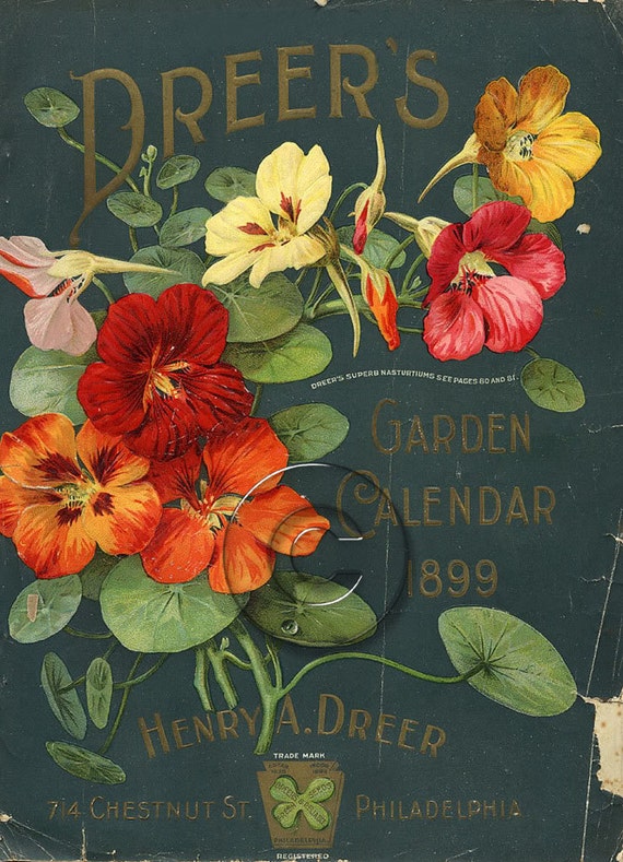 Vintage Seed Packet Download File Art Print