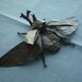 Original Origami Samurai Helmet Beetle
