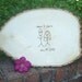 XL Wedding Guest Book Tree Slice