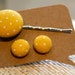 Earring and Hair Pin Set