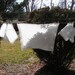 Airy White Linen Vintage Tea or Luncheon Tablecloth and Napkins 40s 50s