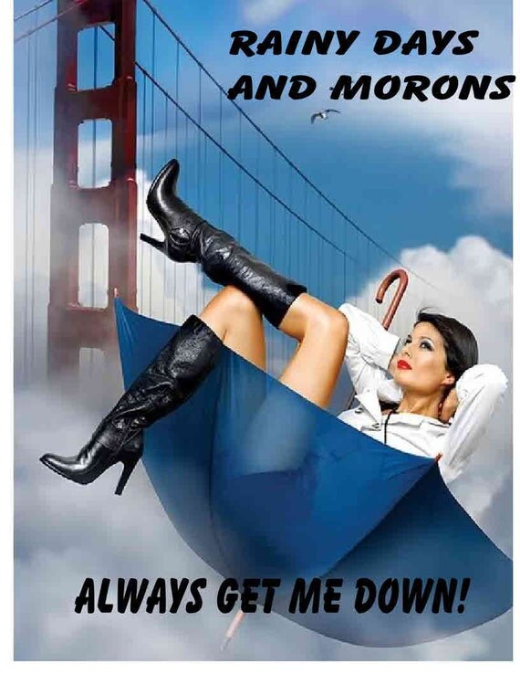 Rainy Days and Morons Always Get Me Down funny kitchen towel