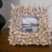 Picture frame with tree snail shells, colorful and fun 8 by 8 inches - CANNES MEDIUM
