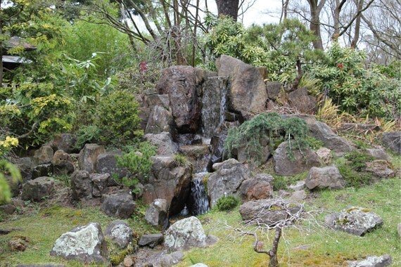 Japanese Tea Garden Waterfall II--signed matted framed photo