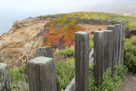 Rustic Old Fence at Garrapata State Park, Big Sur, California