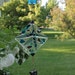 Suncatcher- Fused Glass- Star- Blue- Violet