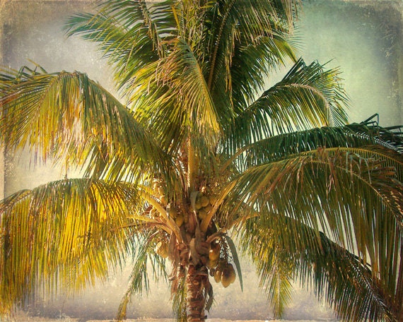 vintage etsy wallpaper Art Gray Retro Tree SALE Vintage Print Palm Tropical Green