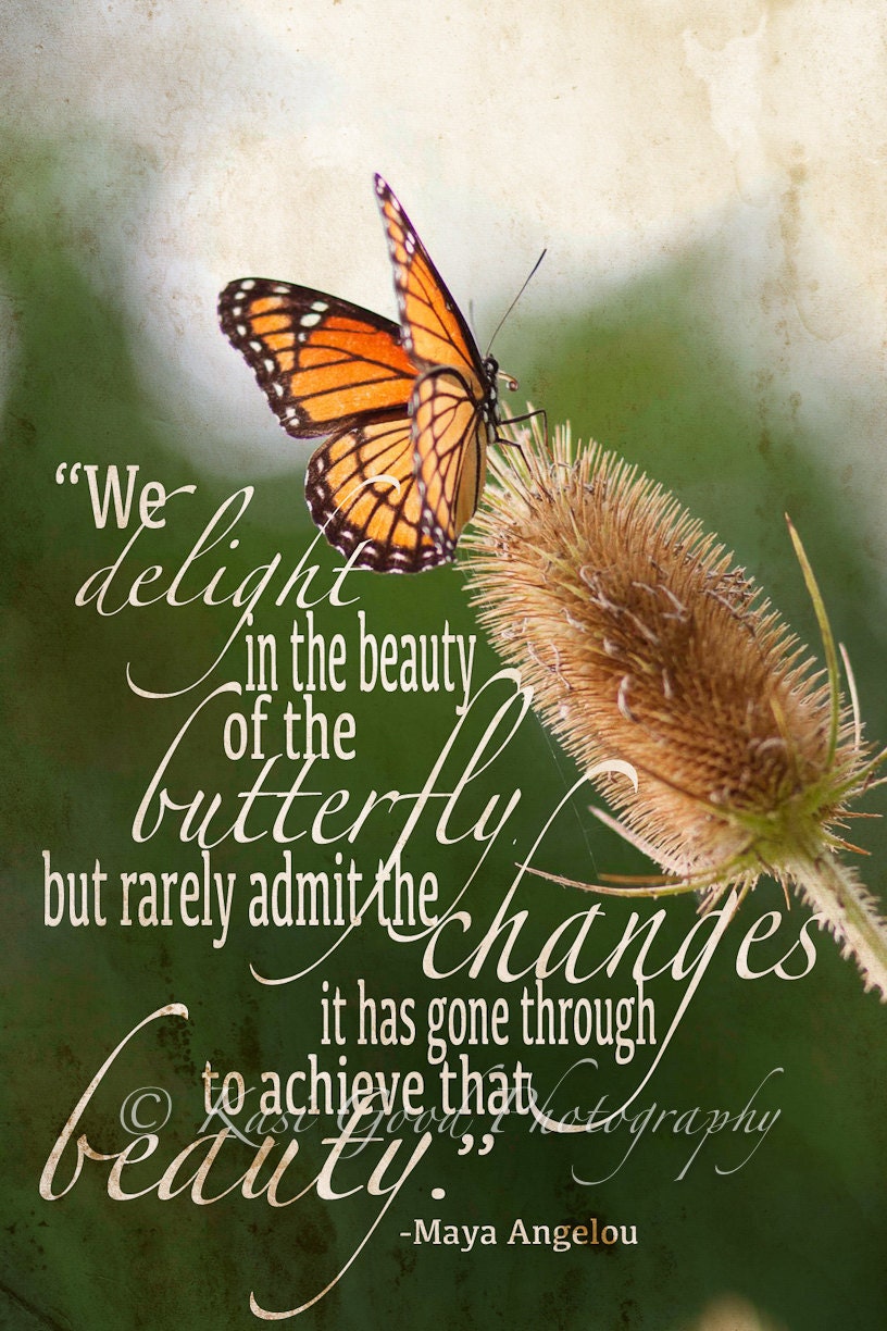 Items similar to Inspirational  Butterfly  ART QUOTE  Wall 