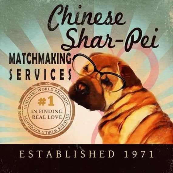 Matchmaking services in china