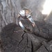 Art Deco Sterling Silver and Rhinestone Engagement Ring