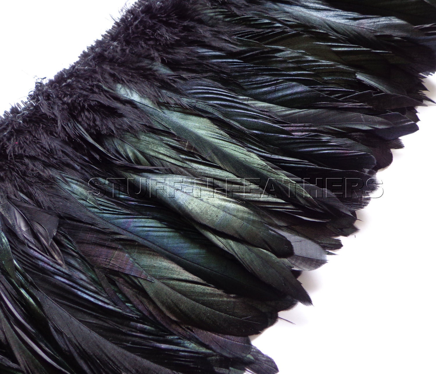 Wholesale / bulk feathers IRIDESCENT Black rooster coque