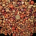 500 Assorted mixed shape wood beads Destash liquidation Price Closeout