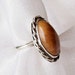 Petrified Wood / Sterling Silver Ring - Size 5 - G1009