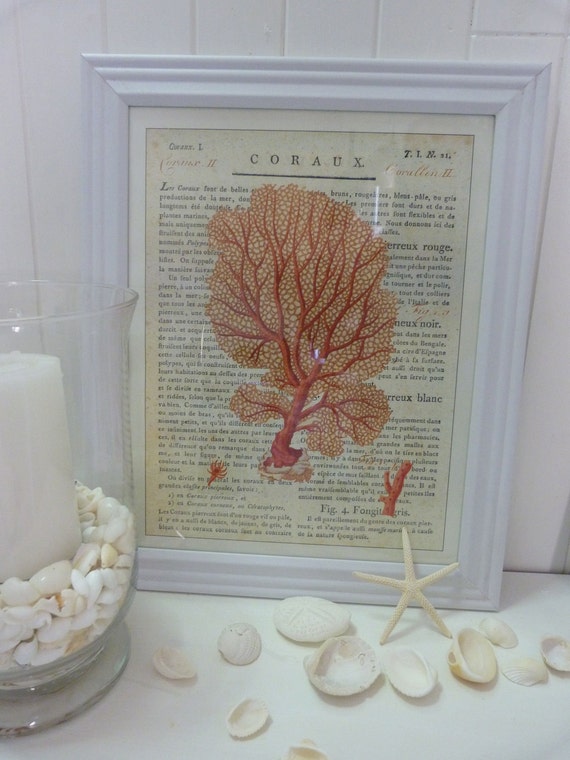 cavallini coral prints white frame coastal antique french