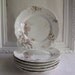 Vintage Haviland Limoges Set Of Six Floral Plates Made In France Circa 1888-1896