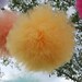 Emily Bullen custom listing