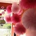 Tulle pom poms.... set of 15 for nurseries