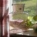 Lavender Blenko Water Pitcher, Italian Glass Water Bottle