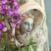Abby of Abalone