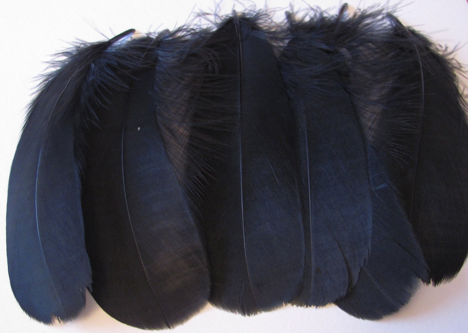 Goose Shoulder Feathers Black