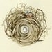 egg and feather nest original watercolor