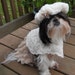 Vintage Look Size Medium Pet Costume/Dress, Hat and Shawl