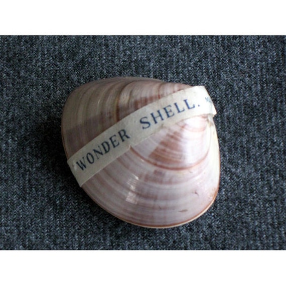 Japanese Waterflower Wonder Shells 1950s Novelty Toy A by josie777
