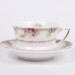German Porcelain Teacup and Saucer Carl Tielsch German Porcelain Vintage CT China