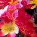 Set of 20 Beautiful Bouquet Flower Ink Pens-Send a Bouquet of Flowers for Less, Great Gift Idea, Affordable Party Favor
