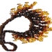 Baltic Amber Necklace. Multicolor amber beads.
