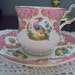 Vintage - Rosina China - Queens - Bone China - Chelsea bird/Bird of Paradise -pinks - excellent condition