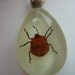 90s Grunge Rave Large Insect Glow In The Dark Pendant