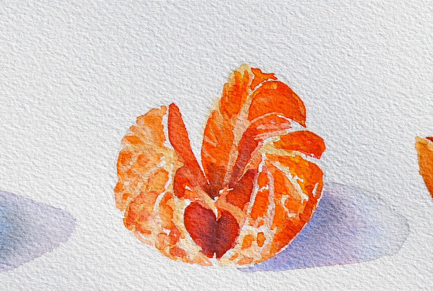 Orange Clementine Watercolor Fruit Still Life Original