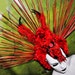 MADE TO ORDER Sci- Fi Cyber Futuristic gaga rose stone fringe goth vampire burning man lolita wearable art Fantasy headdress headpeice wig