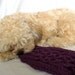 Small Dog Sweater - Celtic Cable, Purple Organic Yarn