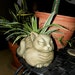 1970s Fat & Happy Cat Ceramic Planter