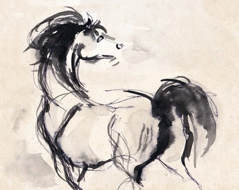 Horse Print - Horse Art - Horse Drawing - Horse Ink Sketch - Stallion Print - Pen And Ink Arabian Stallion
