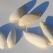 Angel Wing Seashells, Three Pair of White Angel Wing Sea Shells, Beach Cottage Shell Craft Supplies, DIY Beach Wedding Decor