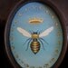 Queen Bee Miniature Oil Painting in Ebony Frame