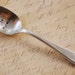The Earth Laughs In Flowers - Upcycled Vintage Silverware hand stamped serving spoon