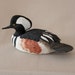 Duck Carving - Hooded Merganser - Drake