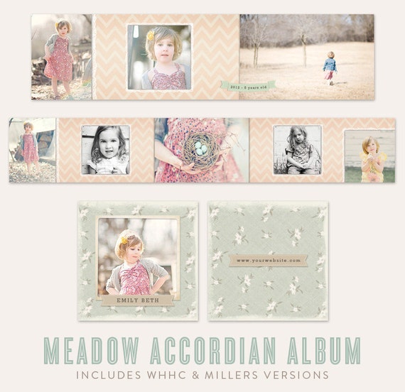 Meadow 3x3 Accordian Album Miller's Lab & WHCC by imagegarden