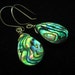 Tide of the Sea,Abalone Shell Earrings