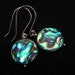 Tide of the Sea,Abalone Shell Earrings