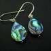 Tide of the Sea,Abalone Shell Earrings