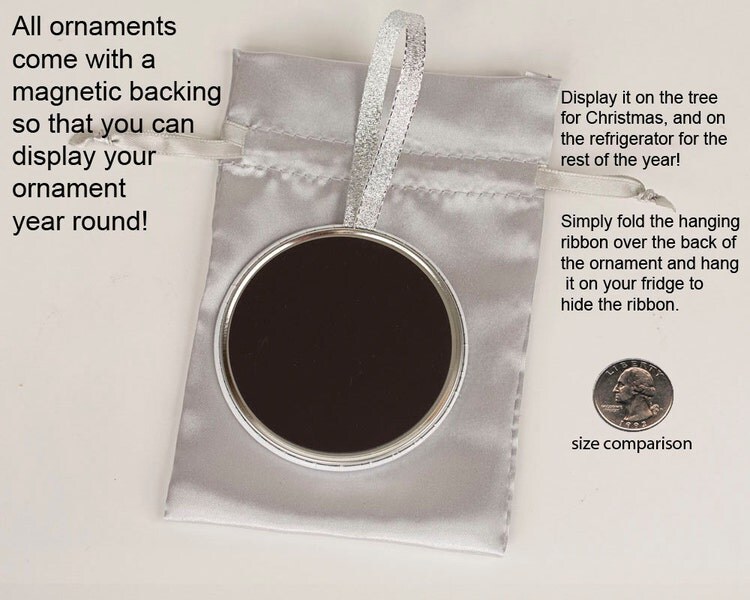 Gag Gift for Family Christmas Ornament by